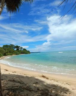 MALLICK PALACE NEIL Island - 0