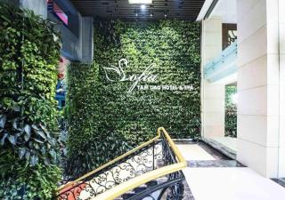 Thang Loi Tam Dao Hotel - 7