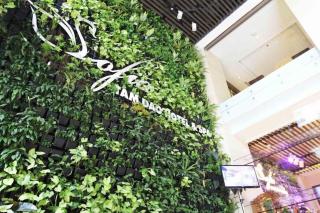 Thang Loi Tam Dao Hotel - 6