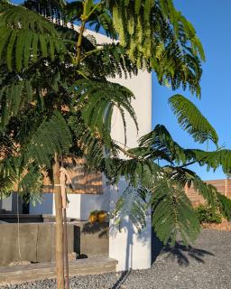 Villa Simone Lajares - 5 chambres - Piscine chauffée - 7