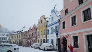 Modrá růže Třeboň - 0