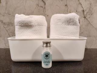 Luxurious 4BHK for Elderly Tourists Medical Tourists and Persons with Enhanced Needs Dwarka Sector 12 - 6