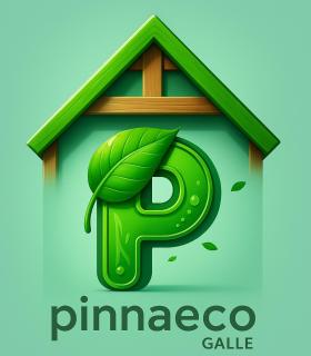 Pinna Eco - 1