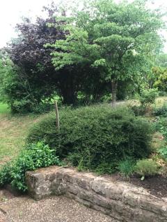 Residenz Dabo Panorama in den Vogesen, 5 Zimmer, modern und großzügig, 2 Balkons, Terrasse, Garten - 2