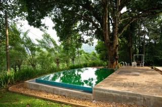 Evergreen Hideout by Tequila Holidays - 1