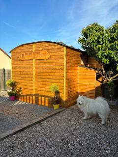 La Galipette, charmant chalet en Champagne - 6