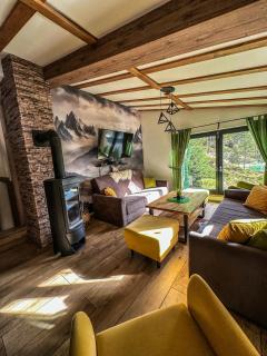 Vila Bašić Vlašić Spa Apartman JELEN - 9