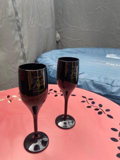 La Galipette, charmant chalet en Champagne - 1