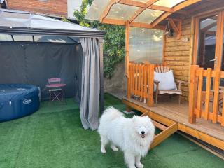 La Galipette, charmant chalet en Champagne - 2