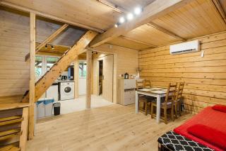 Całoroczny, drewniany domek przy lesie - 6