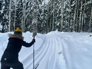 Tarula Holiday Home - 6