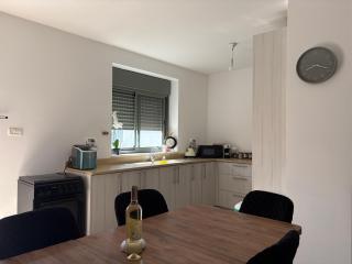 תכלת במושבה Lite Blue in the colony - 2