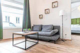 Westbahnhof Kingbed 1BR Apt with ensuite washer - 8