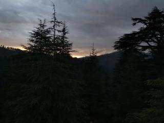 THE MOUNTAIN RETREAT HOMESTAYs - 5