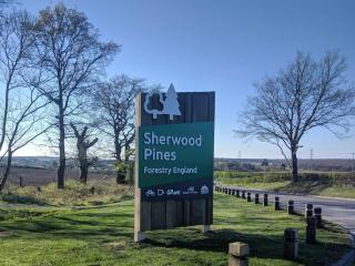 Luxury modern home log fire & outdoor living - 9