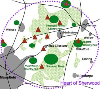 Luxury modern home log fire & outdoor living - 4