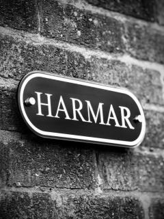 Luxury modern home log fire & outdoor living - 7