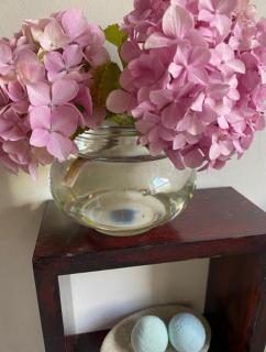 Fynbos Mountain View - 4