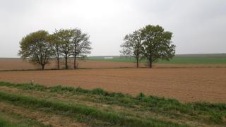 Met een knipoog naar de fruitstreek! - 3