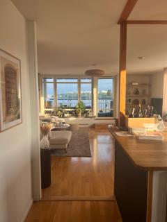 Central waterfront luxury penthouse - 4