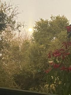 Proudly Okavango self-catering Burnside - 6