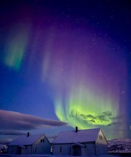 Arctic Fjord House - Fjord View, Sauna, Hot Tub - 7