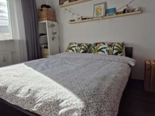 Apartamento encantado - 2