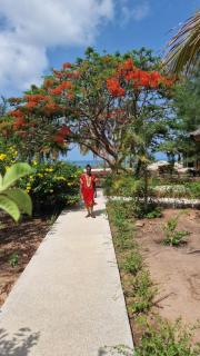 Domaine le Flamboyant - 3