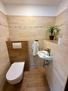 Chalupa pod Ještědem - 7