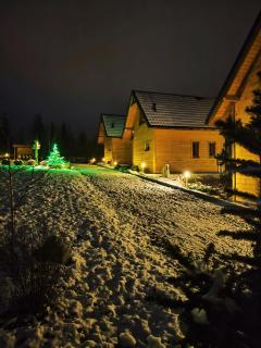 Leśna Przystań - Domki całoroczne - 3