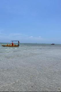 Sonho de Verão 205 - 5