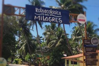 Sonho de Verão 205 - 8