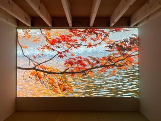 Le Cave Troll ル カーブ トロル - 0