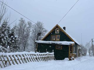 CC`s Green house - 8