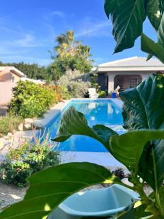 Tropical Breeze "Dushi Bida" - 9