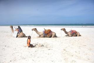 Cozy 1-BR Garden Cottage near Diani Beach - 8