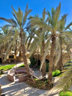 Arkan siwa أركان سيوة - 6