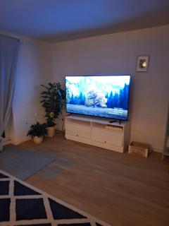 Stade, Altes Land and Elbe - 4