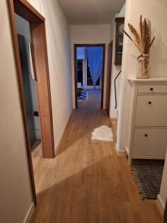 Stade, Altes Land and Elbe - 3