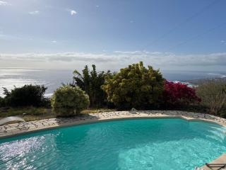 Maison camomille - 0