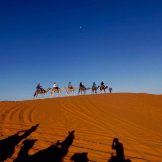 Sahara Luxe Camp - 6