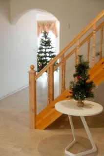 Konrad Family Guesthouse - 1