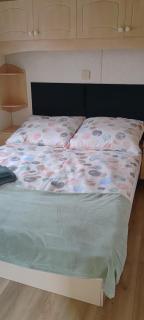 Zielona Ostoja- Czyżów Szlachecki - 2