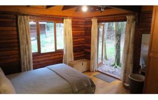 Peaceful Forest Getaway in Natures Valley - 3