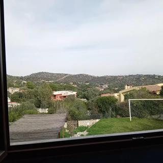 Una Foresta sul Mare - 3