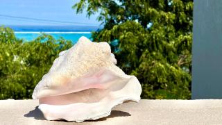 King Bedroom Suite at ParadiseOneVilla Turks and Caicos Islands - 9