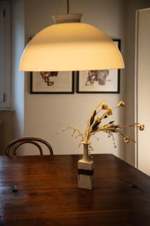 Cottage di design con giardino - 1