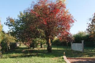 Appartement Jungle Cosy - Bureau & Fibre - Proche Futuroscope - 0