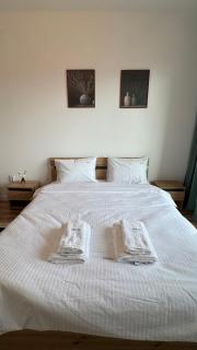 Venus Loft Coresi Mall - 5