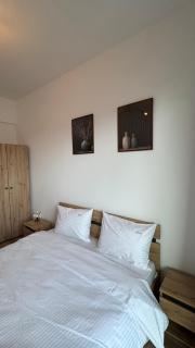 Venus Loft Coresi Mall - 1